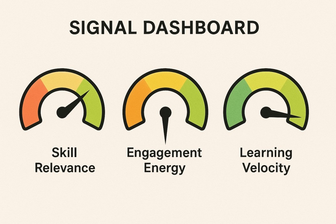 professional journey